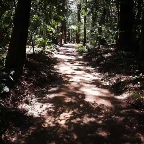 鹿島神宮の自然
