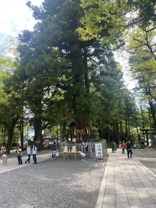 諏訪大社下社秋宮(長野県)
