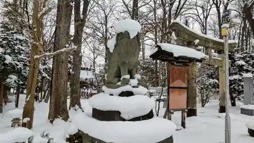 旭川神社の狛犬