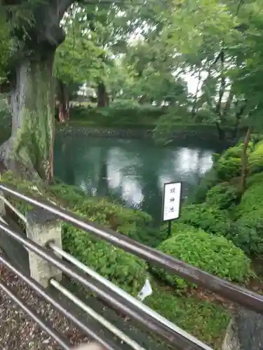 瀧宮神社の庭園