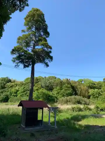 厳島神社(千葉県)