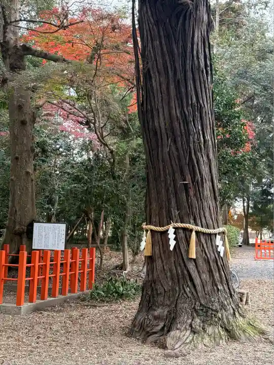 息栖神社(茨城県)