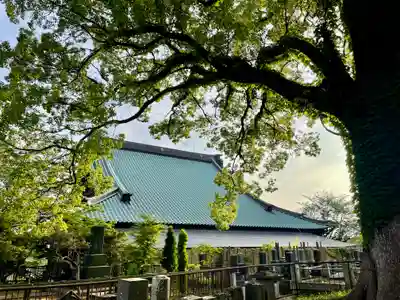 長生院(神奈川県)