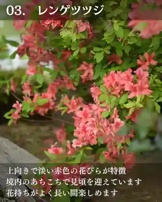 宝光寺(北海道)