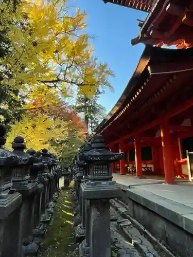 春日大社のその他建物