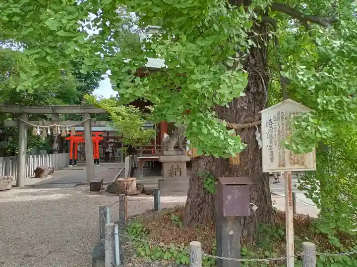 白山神社の自然