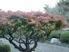 荘厳寺(神奈川県)