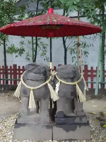 浅草神社の狛犬