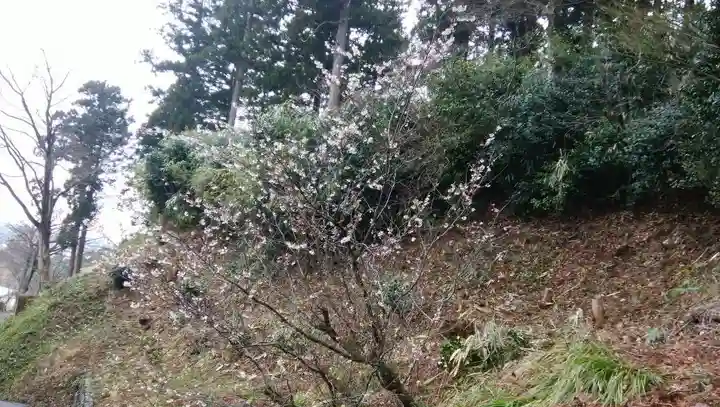 白狐山光星寺(山形県)