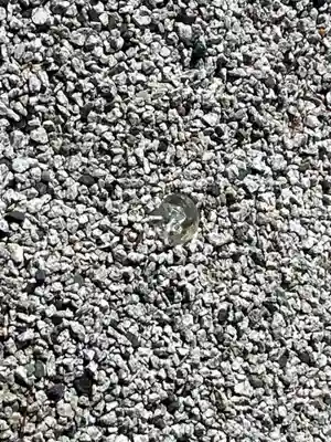 高台寺（高台寿聖禅寺・高臺寺）(京都府)