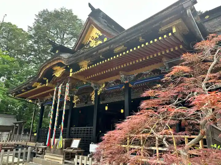 大崎八幡宮の本殿・本堂