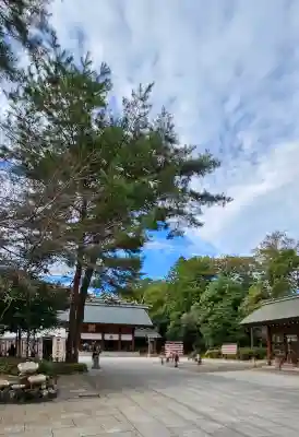 櫻木神社の{uncategorized: "未分類", other: "その他", undefined: "問題あり", building: "その他建物", grave: "お墓", sacred_gate: "鳥居", guardian: "狛犬", statue: "像", buddha: "仏像", history: "歴史", nature: "自然", garden: "庭園", animal: "動物", pagoda: "塔", temizu: "手水舎", mountain_gate: "山門・神門", sanctuary: "本殿・本堂", subordinate: "末社・摂社", art: "芸術", scenery: "景色", jizo: "地蔵", ema: "絵馬", goshuin: "御朱印", omikuji: "おみくじ", items: "授与品その他", amulet: "お守り", goshuincho: "御朱印帳", eats: "食事", festival: "お祭り", votive_dance: "神楽", shichigosan: "七五三参", wedding: "結婚式", experience: "体験その他", initially: "初詣", around: "周辺", anti_infection: "感染症対策"}