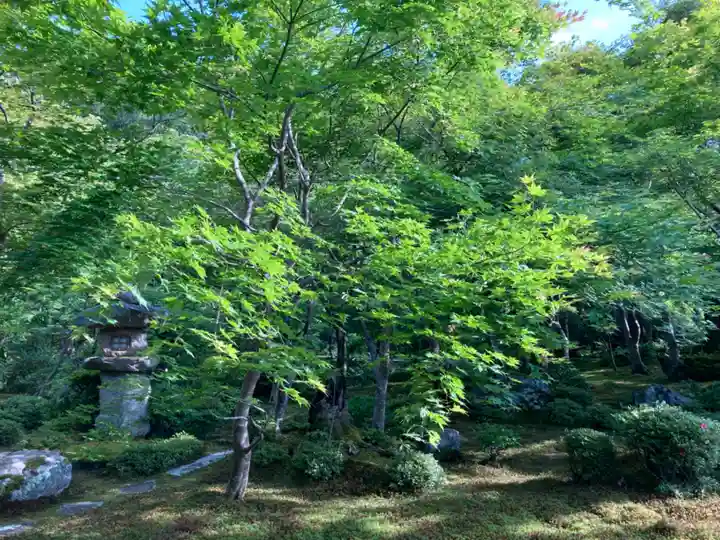 圓光寺(京都府)