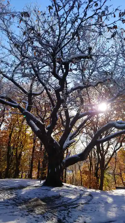 相馬神社(北海道)