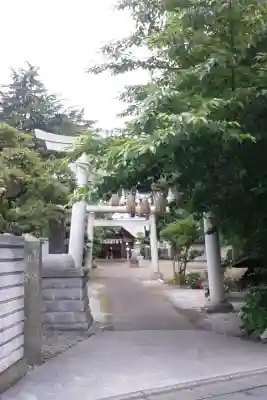 上青木氷川神社(埼玉県)
