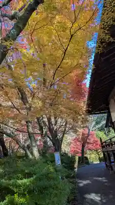 常照寺(京都府)