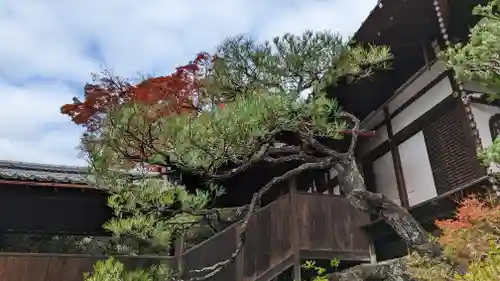 霊鑑寺門跡(京都府)