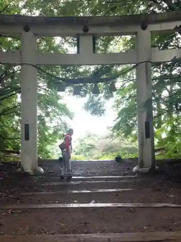 宝登山神社の芸術