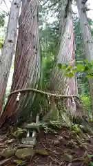 戸隠神社火之御子社の自然