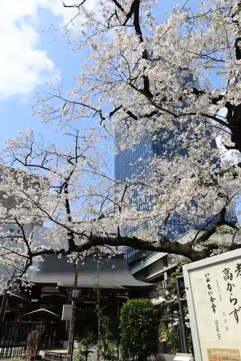 常圓寺(東京都)