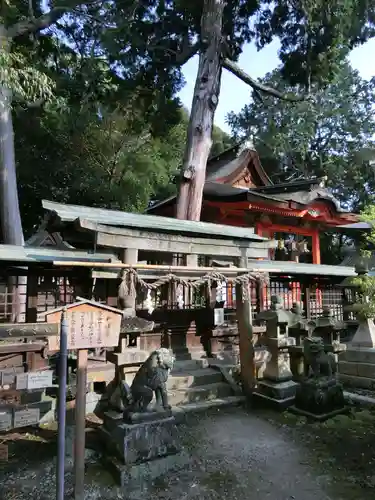 日根神社の狛犬