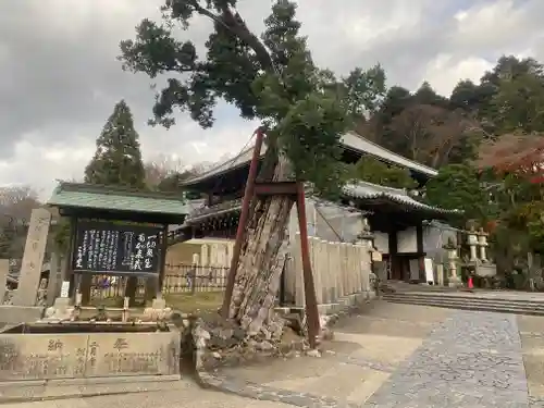 東大寺 二月堂(奈良県)