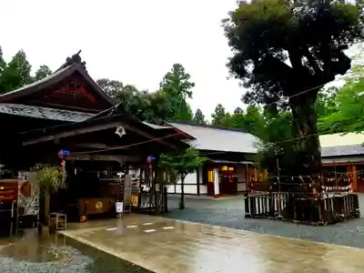 井伊谷宮の本殿・本堂