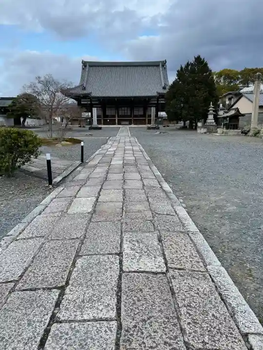 妙覺寺(妙覚寺)の{uncategorized: "未分類", other: "その他", undefined: "問題あり", building: "その他建物", grave: "お墓", sacred_gate: "鳥居", guardian: "狛犬", statue: "像", buddha: "仏像", history: "歴史", nature: "自然", garden: "庭園", animal: "動物", pagoda: "塔", temizu: "手水舎", mountain_gate: "山門・神門", sanctuary: "本殿・本堂", subordinate: "末社・摂社", art: "芸術", scenery: "景色", jizo: "地蔵", ema: "絵馬", goshuin: "御朱印", omikuji: "おみくじ", items: "授与品その他", amulet: "お守り", goshuincho: "御朱印帳", eats: "食事", festival: "お祭り", votive_dance: "神楽", shichigosan: "七五三参", wedding: "結婚式", experience: "体験その他", initially: "初詣", around: "周辺", anti_infection: "感染症対策"}