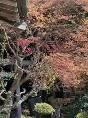 鹿島大神宮の自然