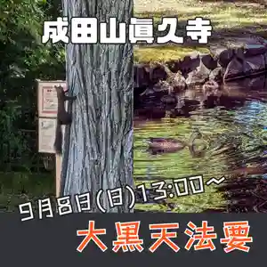 眞久寺の体験その他 2024年09月08日(日)〜(2024年09月06日(金) 17時05分16秒投稿)