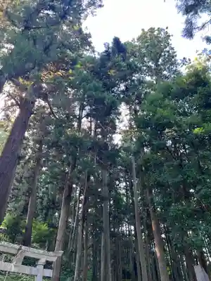 大宮温泉神社(栃木県)
