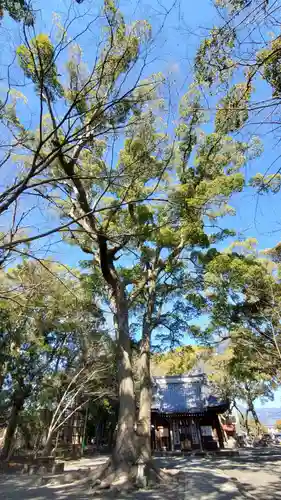 熊野神社の自然