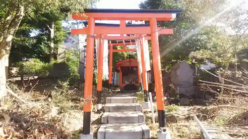 舘氷川神社の鳥居