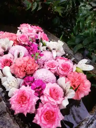 本郷氷川神社(東京都)