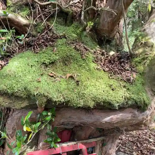 権現坂祠(神奈川県)