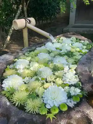 浄誓寺(大阪府)