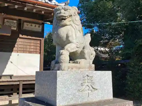 知形神社の狛犬