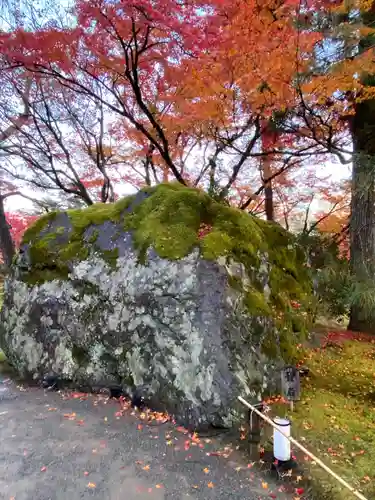 宝厳院(京都府)