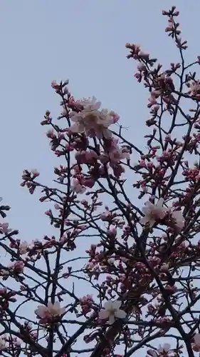 相馬神社の自然