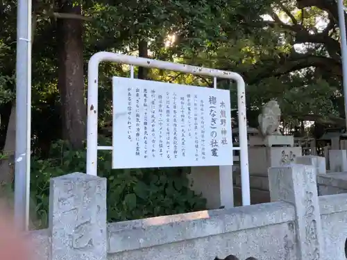 木熊野神社の歴史