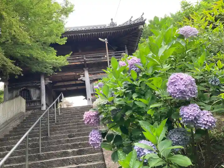 長慶寺(大阪府)