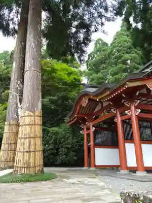 霧島東神社(宮崎県)