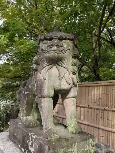 安井金比羅宮の狛犬