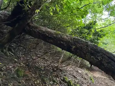 美伊神社(兵庫県)