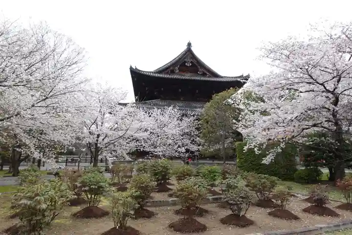 東寺(教王護国寺)(京都府)