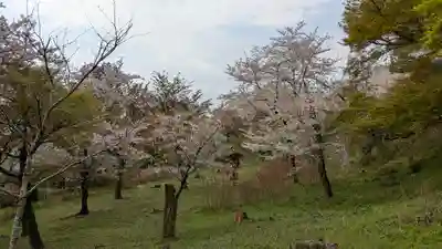 観音寺（山崎聖天）(京都府)