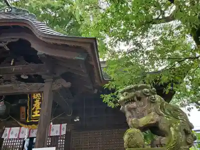 阿邪訶根神社の狛犬