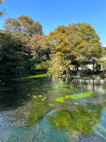 富士山本宮浅間大社(静岡県)