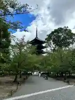東寺(教王護国寺)(京都府)