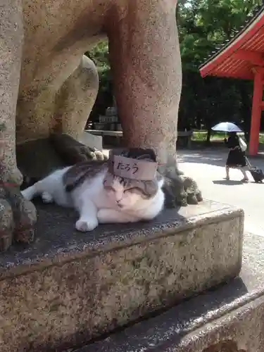 住吉大社の動物
